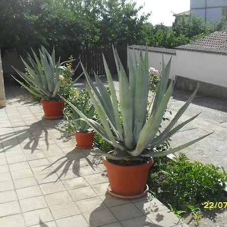 Panayotovi Guest house *