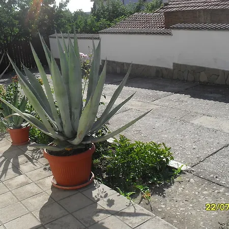 Guest house Panayotovi Byala (Varna)