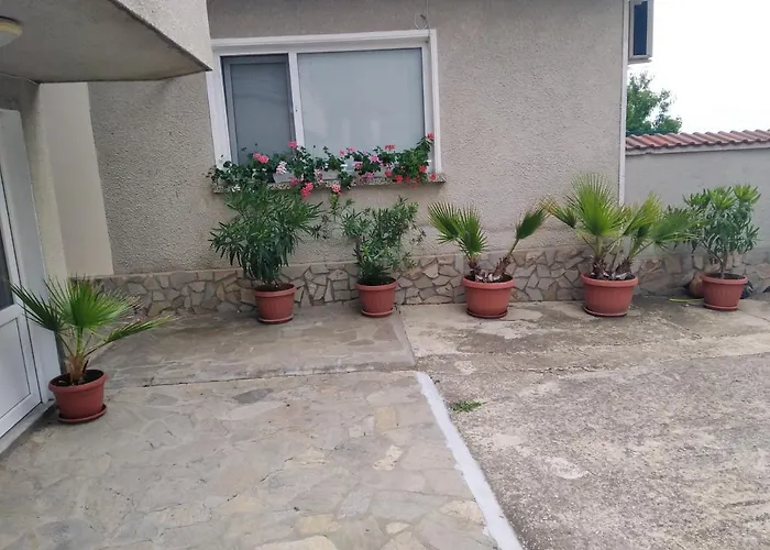 Panayotovi